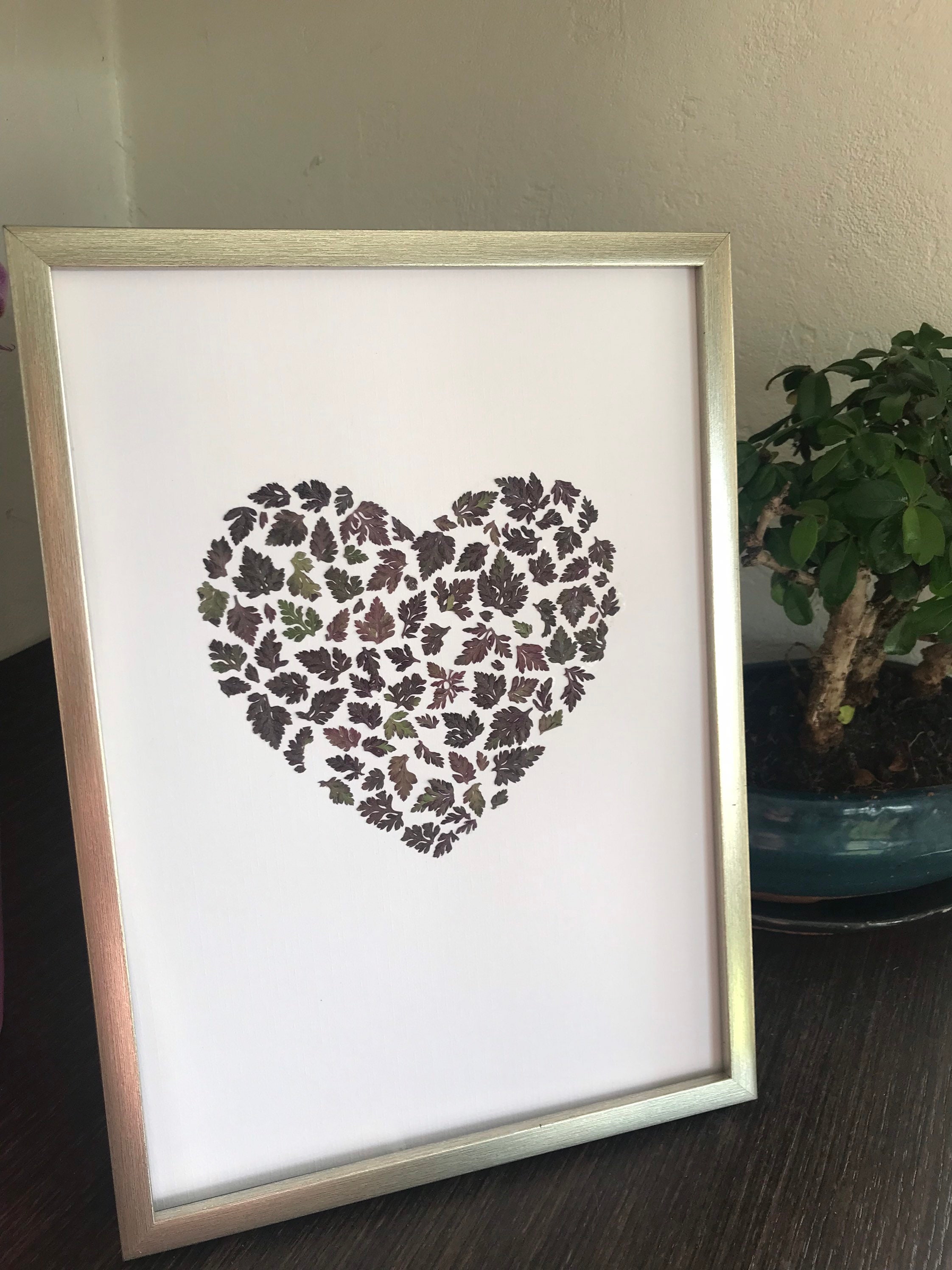 Tableau de Feuilles Séchées