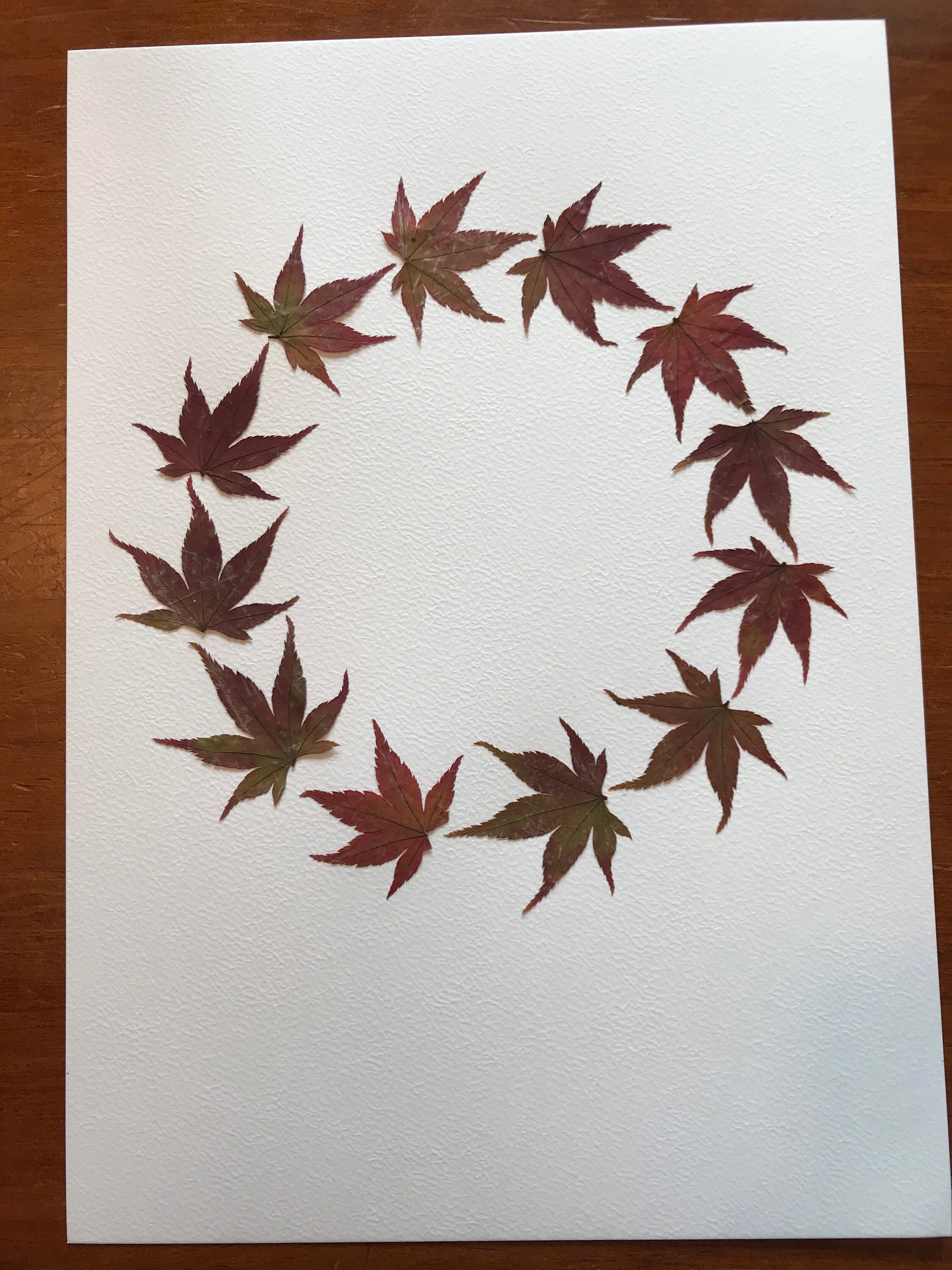 Tableau de Feuilles Séchées.