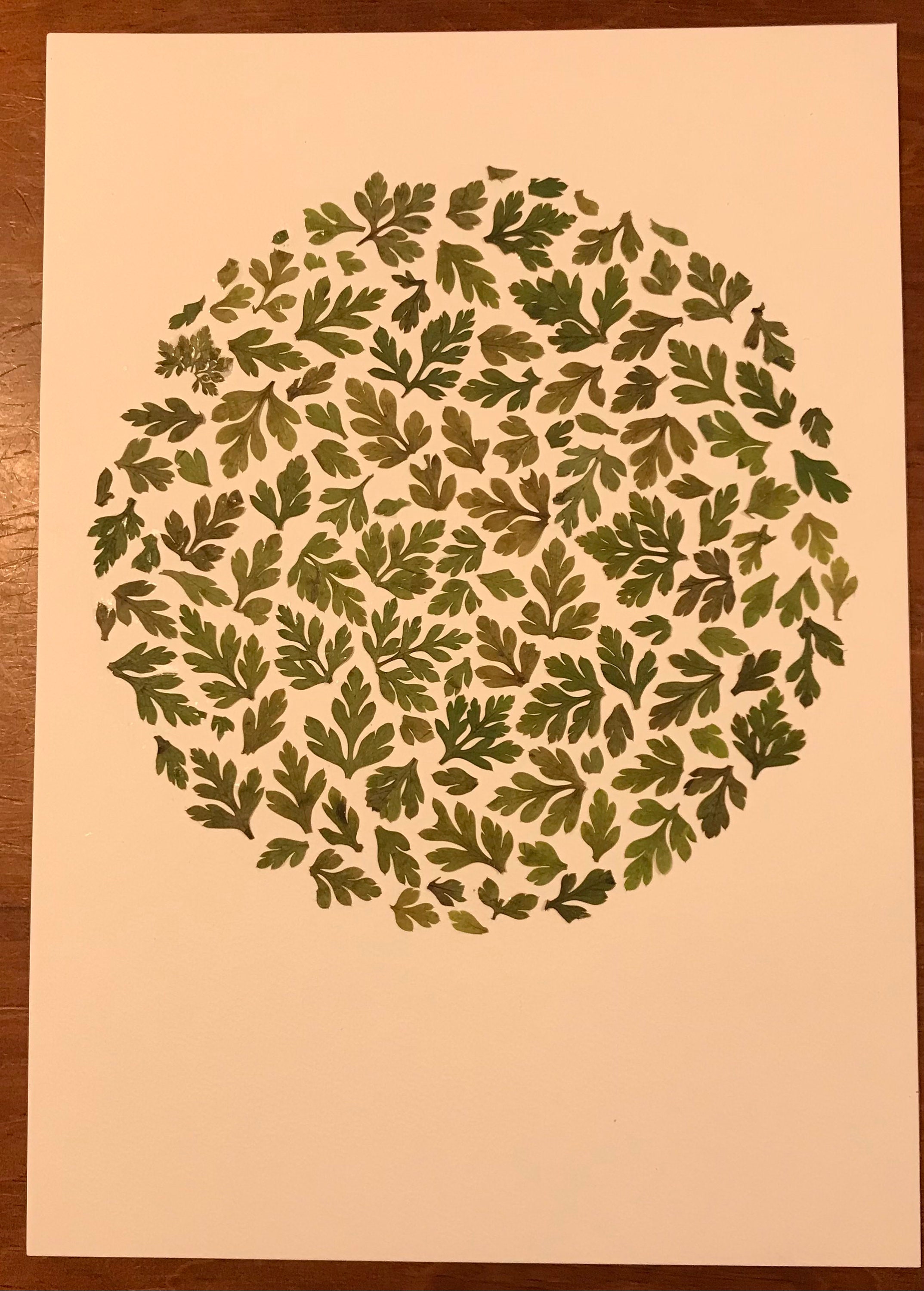 Tableau de Feuilles Séchées.