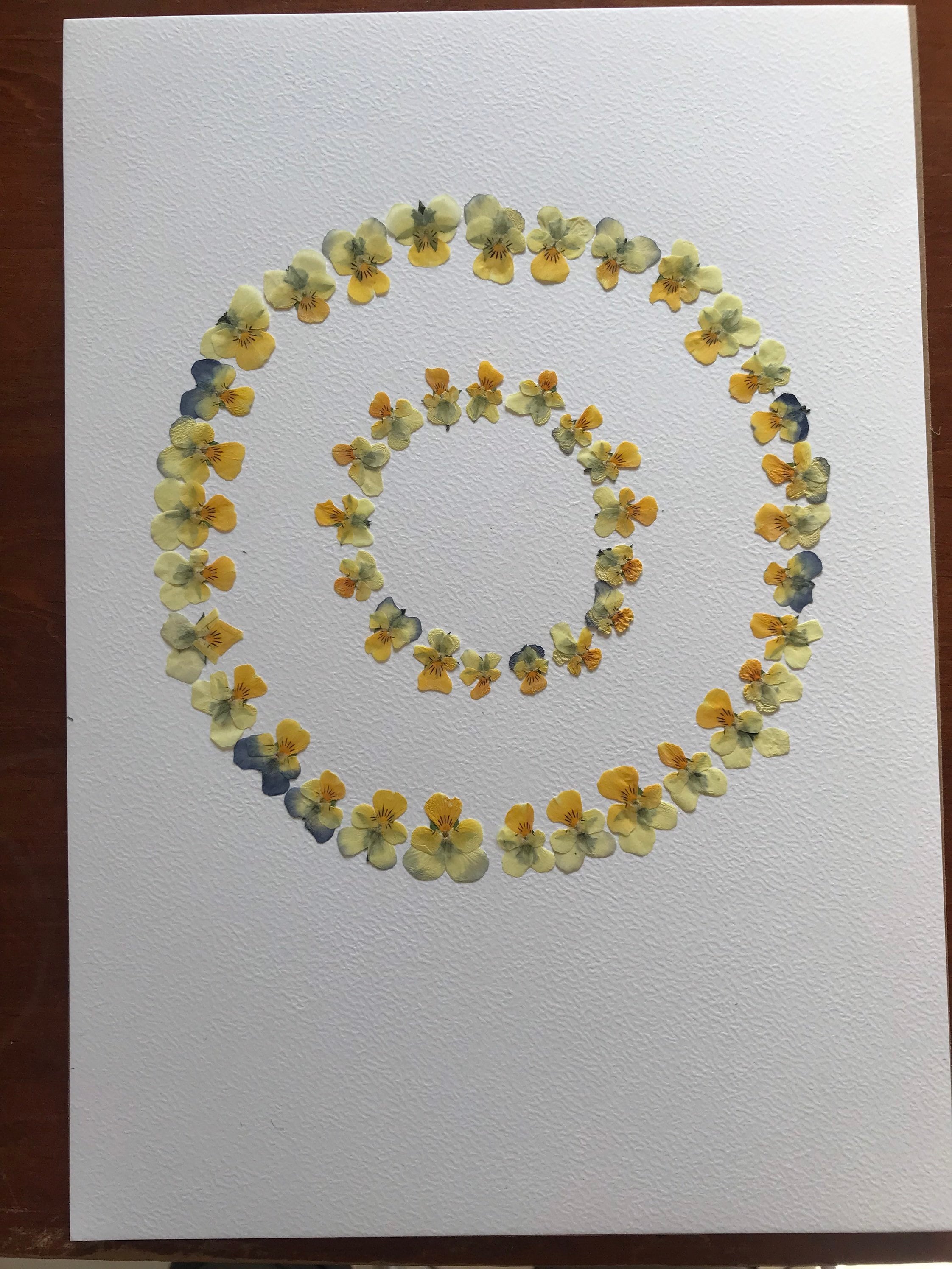 Tableau de Fleurs Séchées