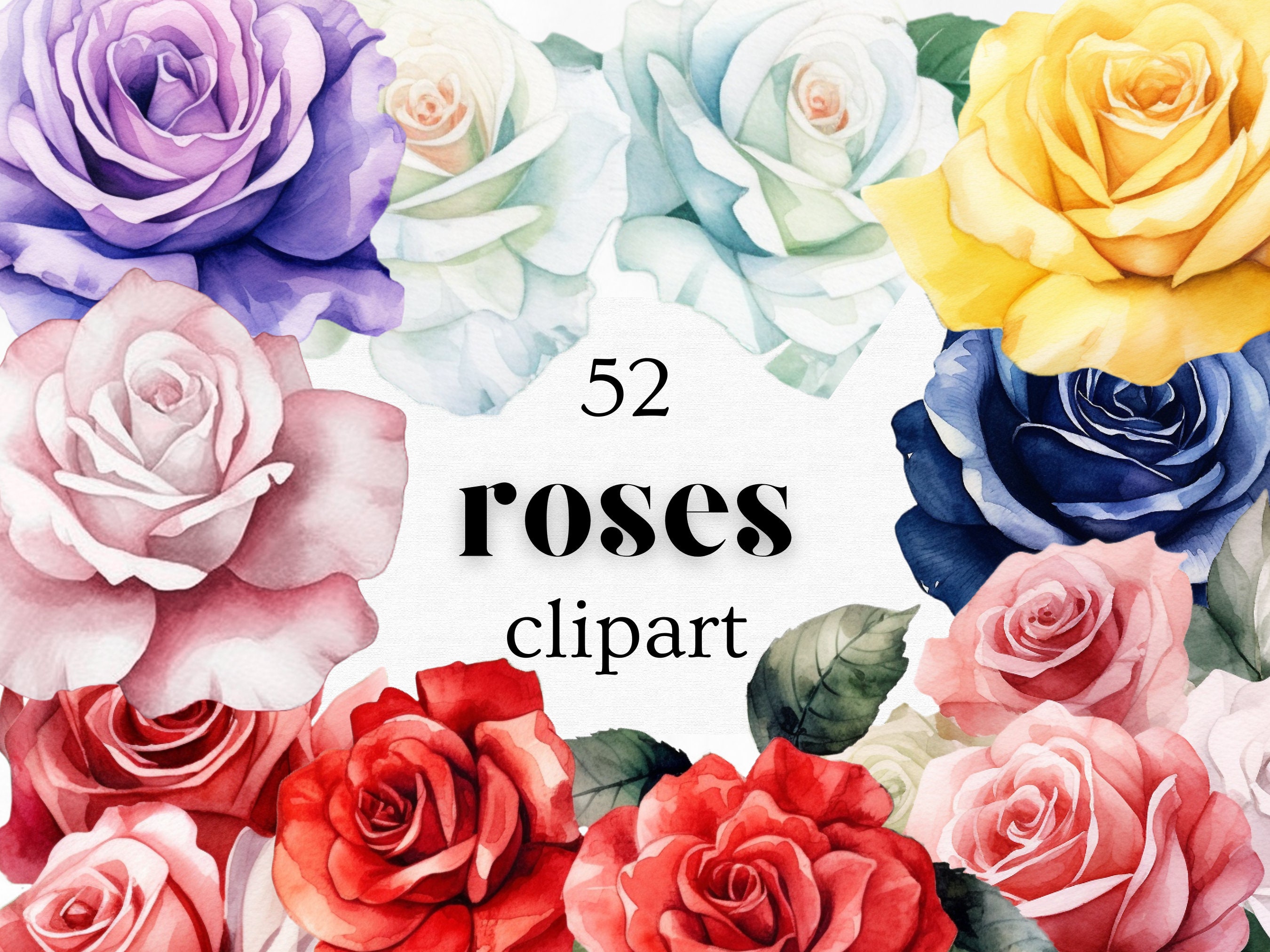 52 Roses 52 Roses Watercolor Clipart Bundle | High-resolution Images | Instant ...