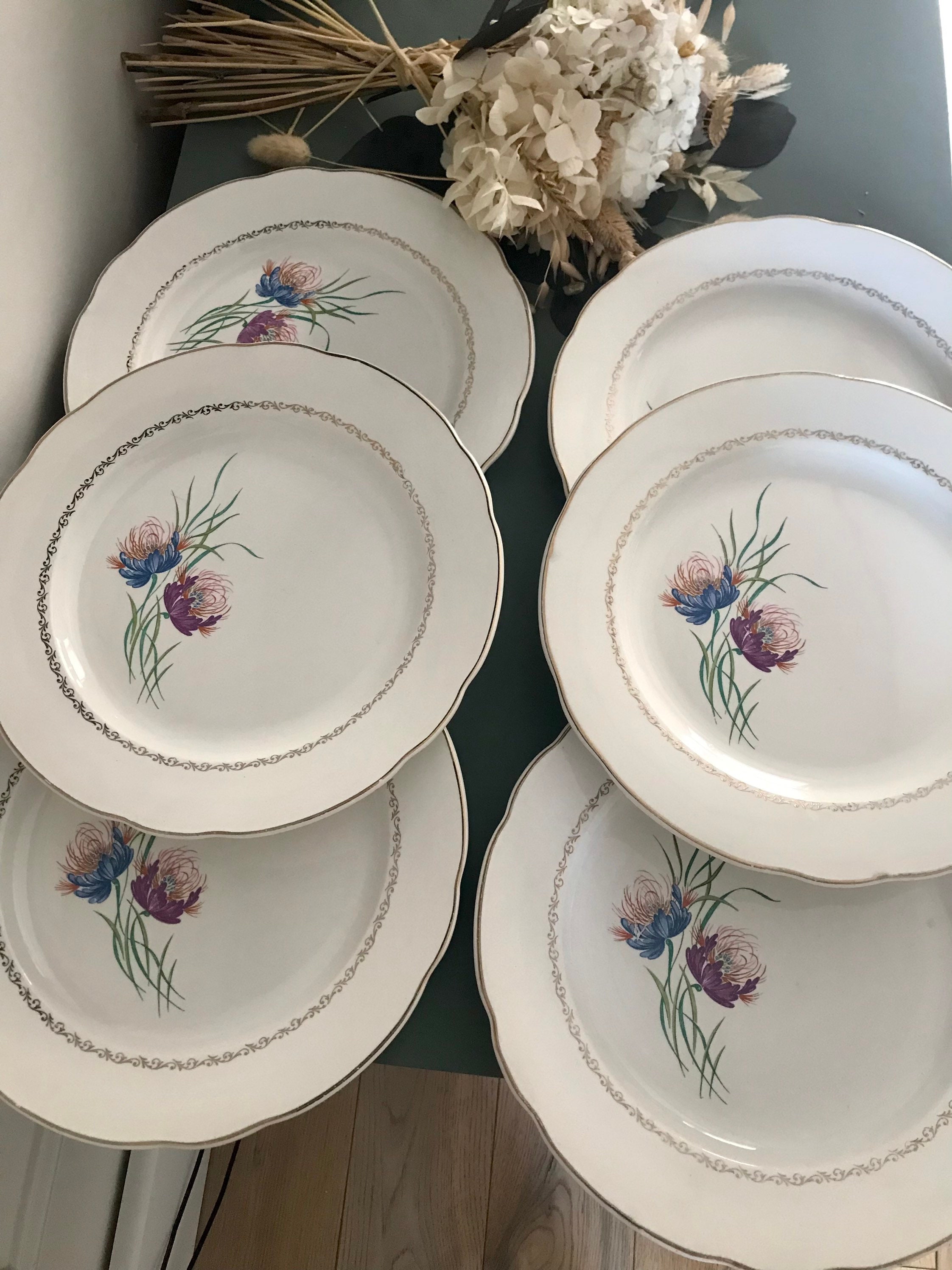 6 Assiettes Plates Digoin