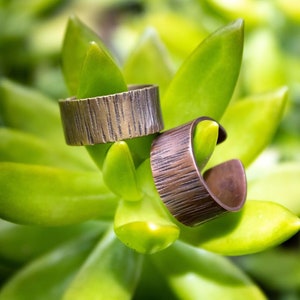 Puede incluir: Dos anillos de metal texturizado, uno con una banda más ancha y una forma más redondeada, el otro con una banda más estrecha y una forma más cuadrada, se muestran en una planta suculenta verde.