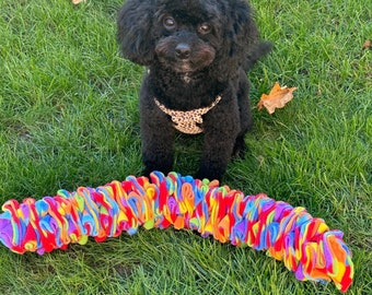 Small Pocket Puzzle | Fun Enrichment Activity Dog Puzzle | Slow Feeder | For Rabbits | Cats | Pets | Small Toy Breed Size Dogs | Pet Gifts