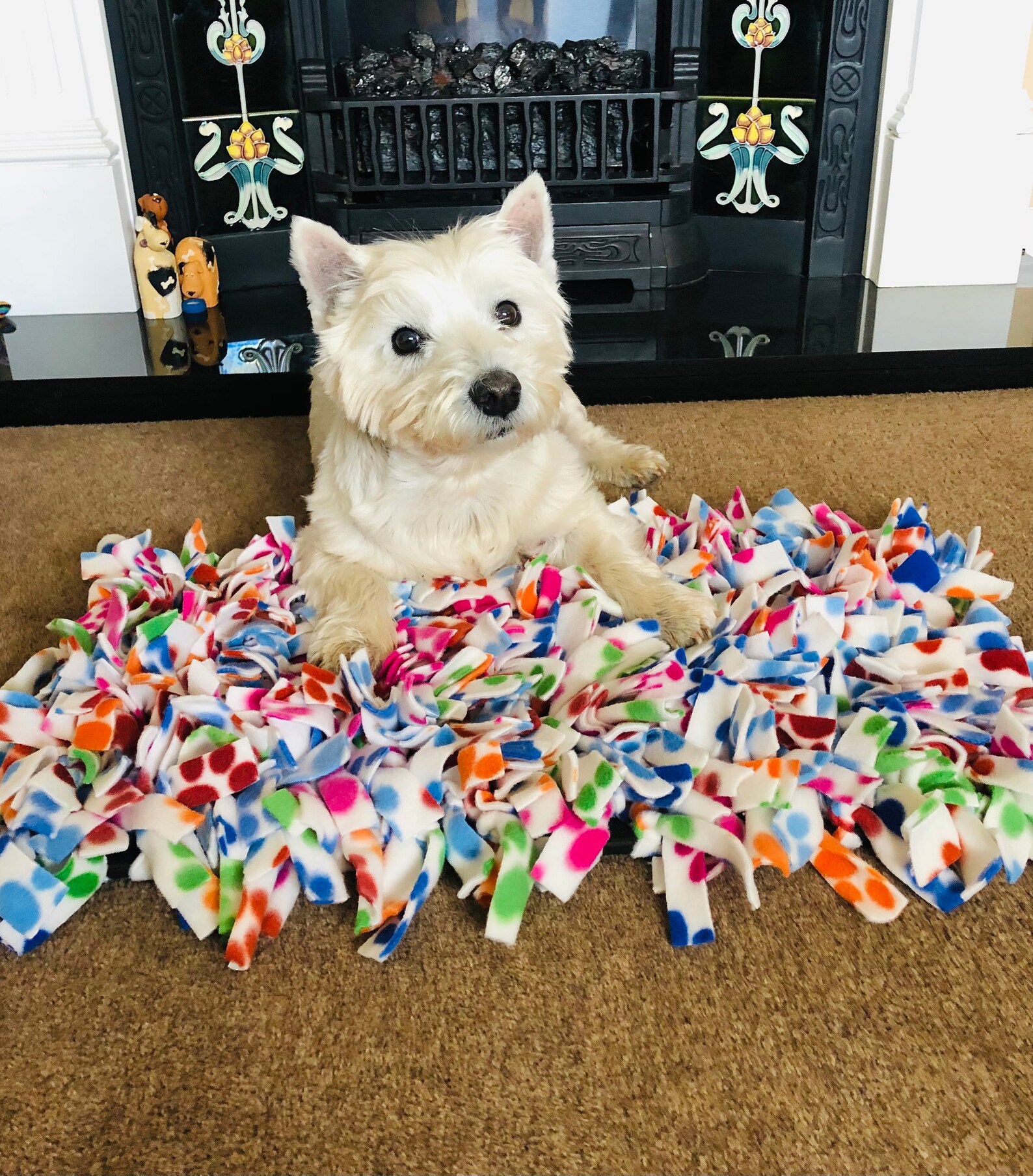 60x30cm Snuffle Mat & Medium Snuffle Ball / large / dog Etsy