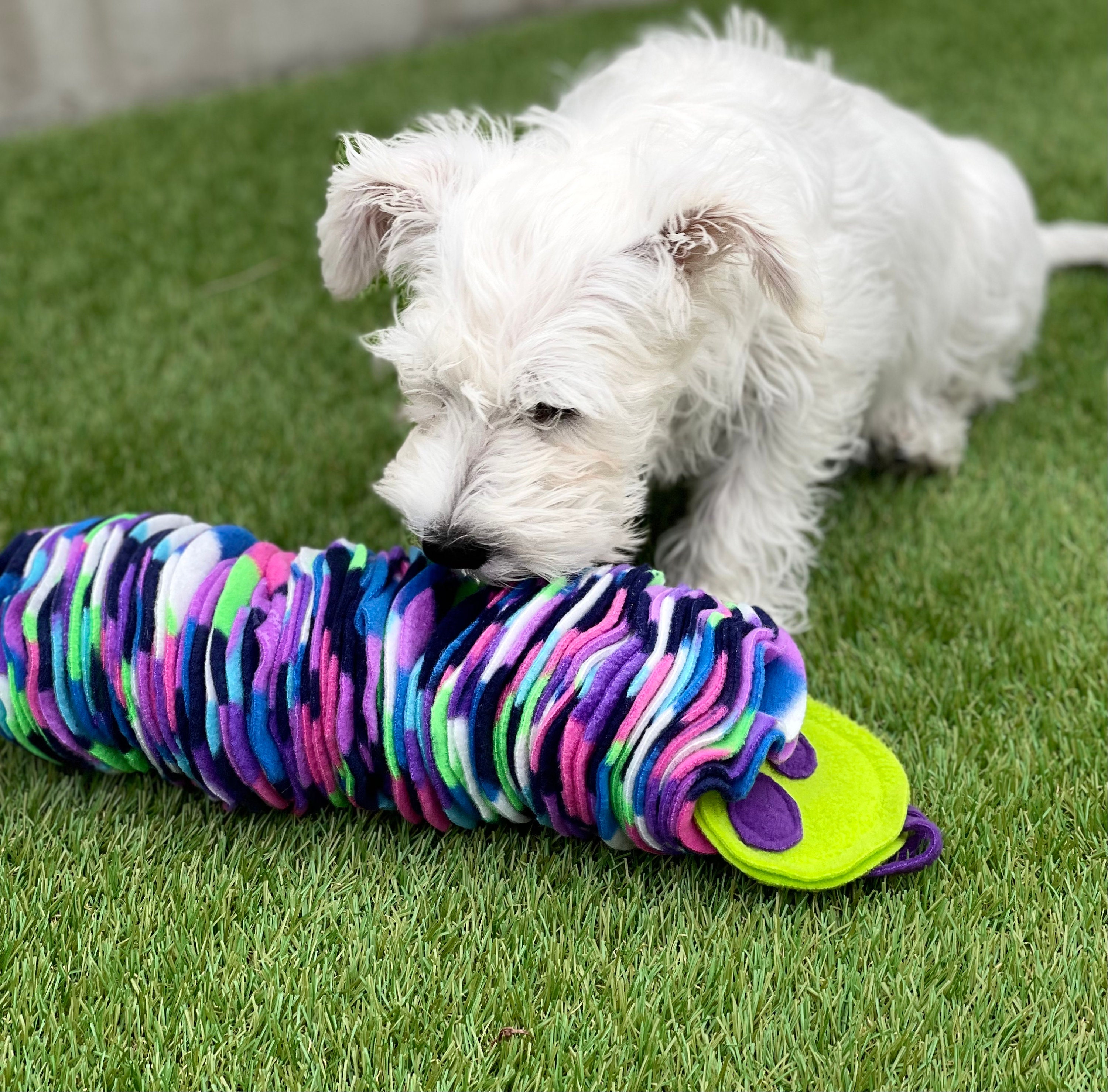 Small Snuffle Snakes / snuffle mat / snuffle ball / snuffles / Etsy