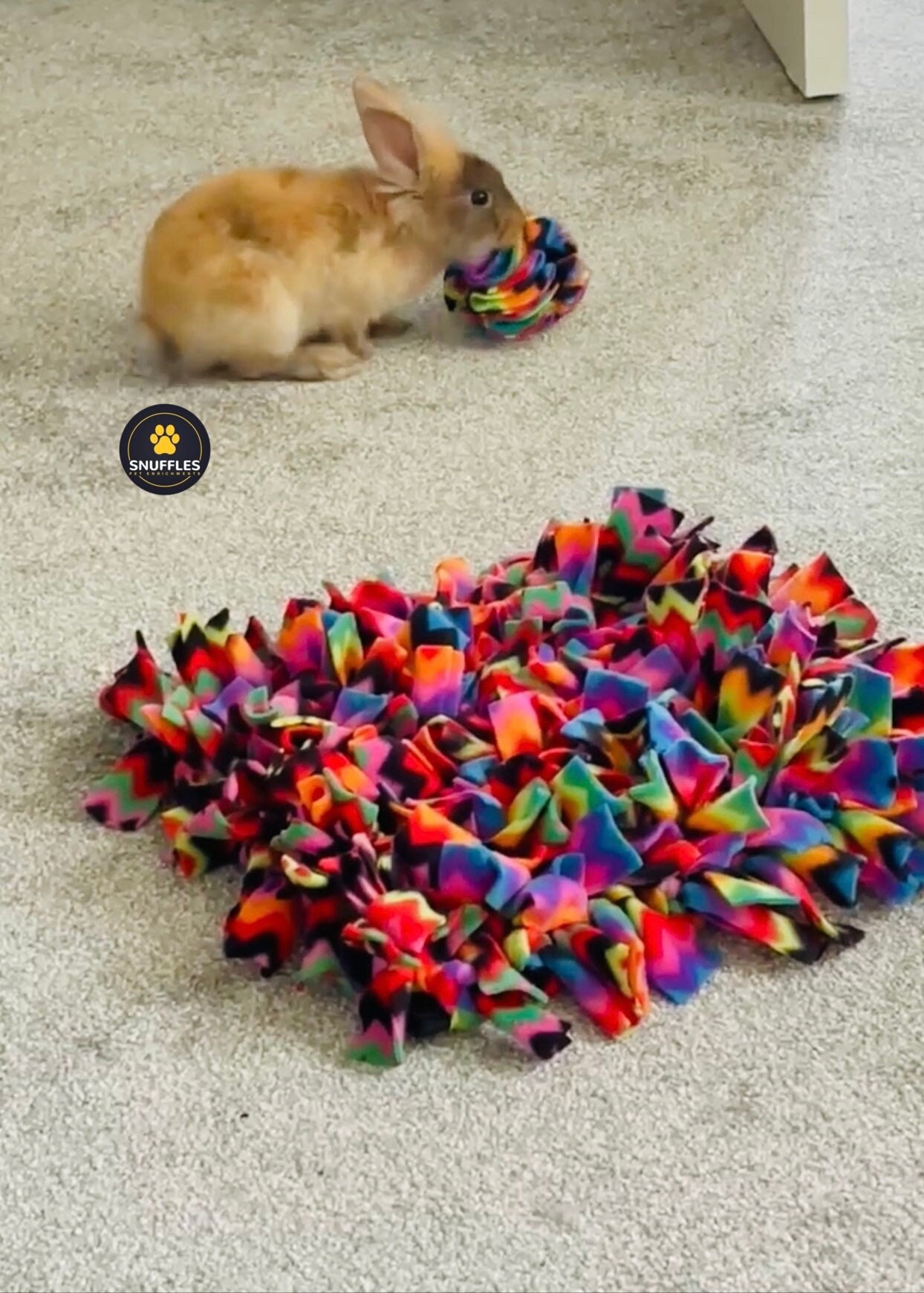 Buy Medium Dog Treat Mat Snuffle Mat Snuffles for Dogs and Puppiesslow  Feeding Foraging scent Work Training Dog & Puppy Gift Ideas Online in India  