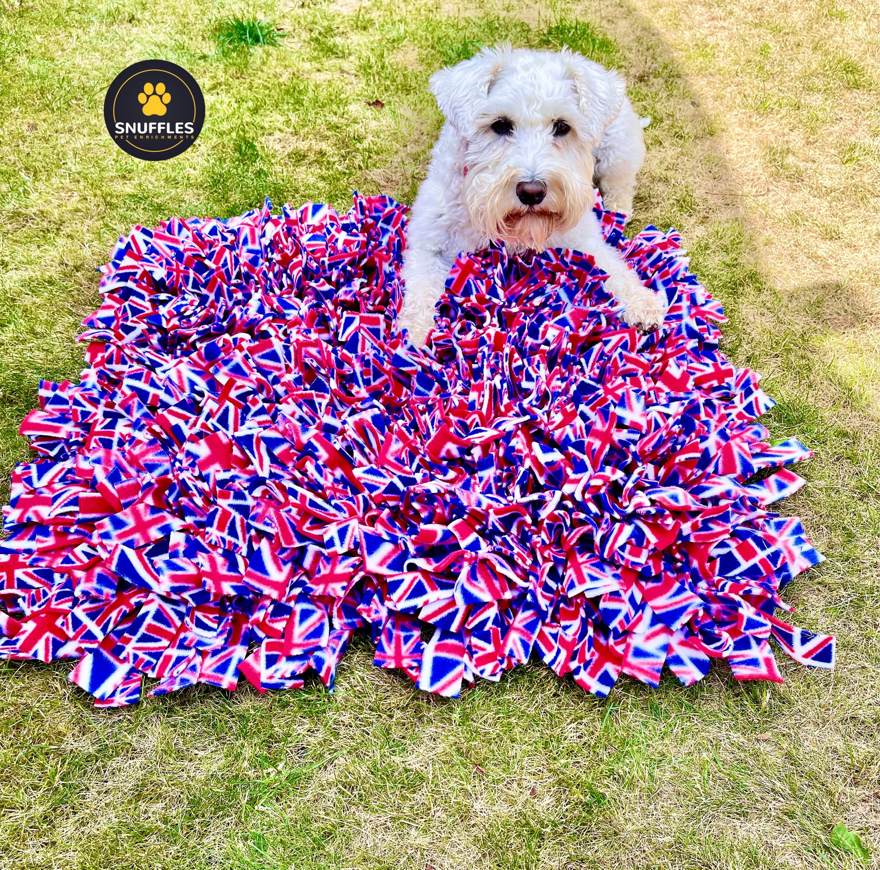 Extra Large 60x60cm Snuffle Mat Fun Enrichment Activity Dog Puzzle Toy Slow  Feeder Scent Work Training Dog & Puppy Gift Ideas 