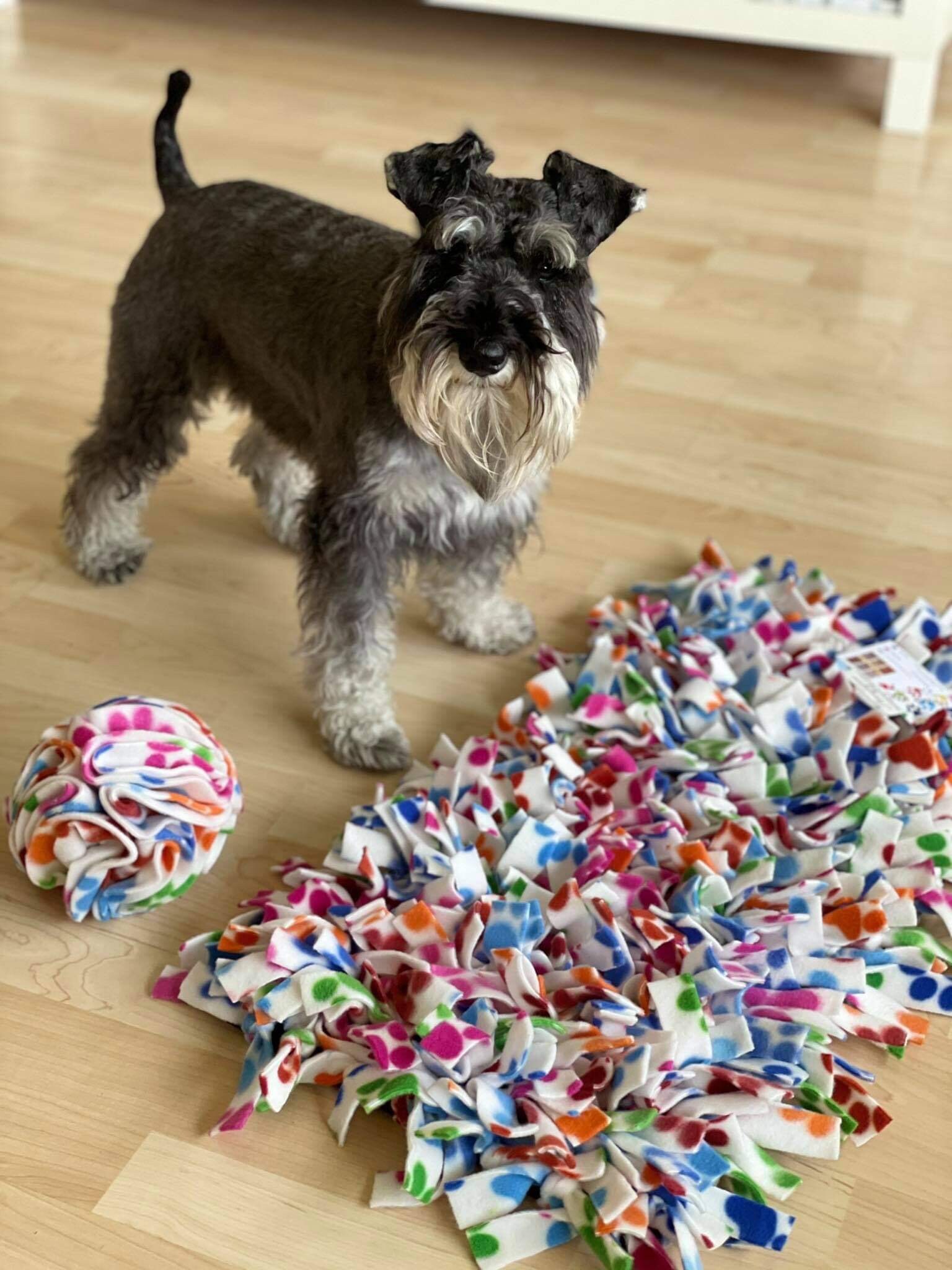 60x30cm Snuffle Mat & Medium Snuffle Ball / large / dog Etsy