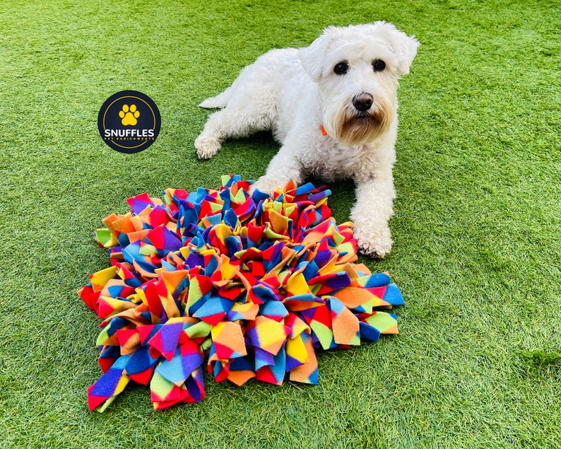 A Medium Treat Mat Snuffle Mat Snuffles Enrichment Etsy UK