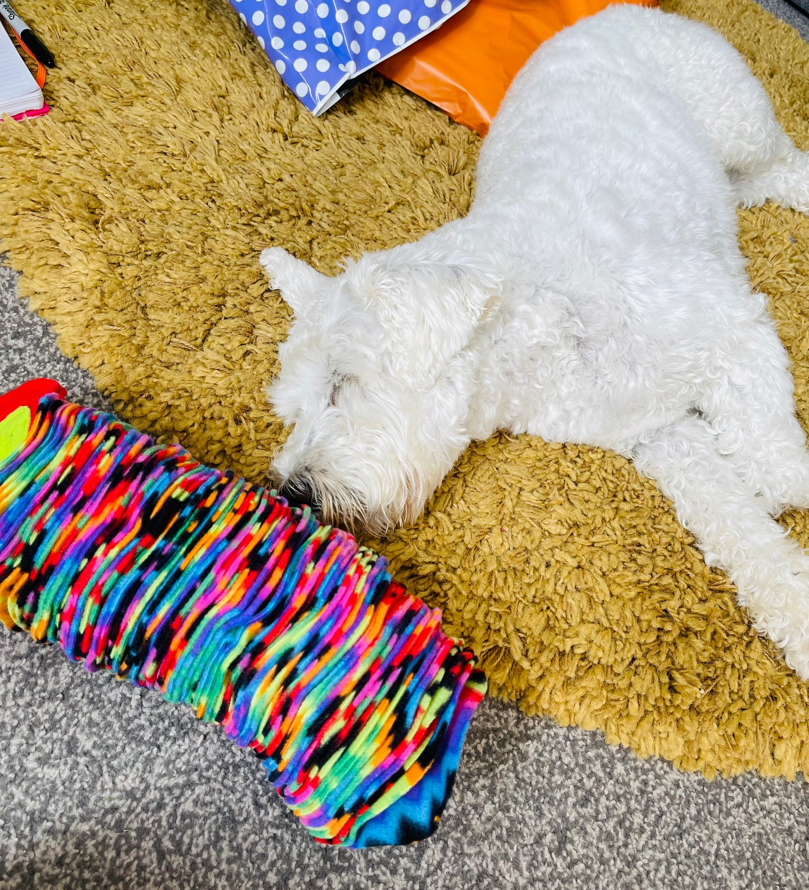 Large Snuffle snake / snuffle mat / snuffle ball / enrichment Etsy