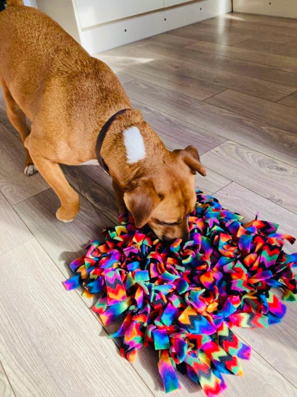 Snuffle Mat 30x30cm / foraging mat / canine enrichment / treat Etsy