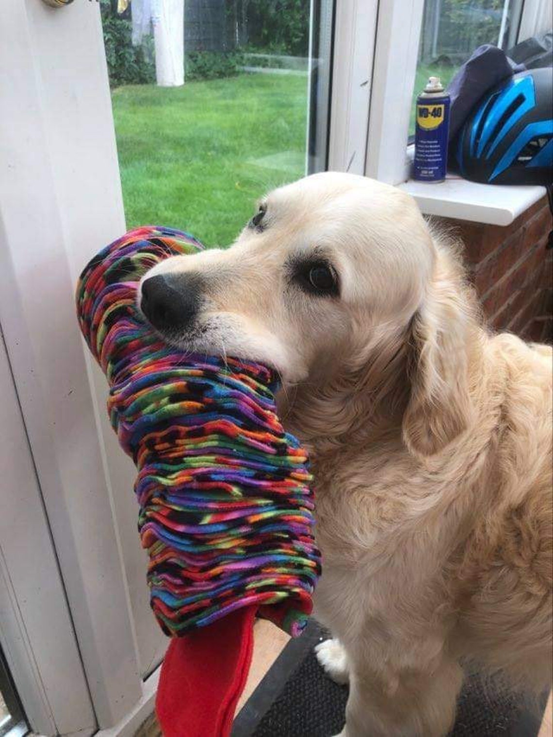 Large Snuffle snake / snuffle mat / snuffle ball / enrichment Etsy