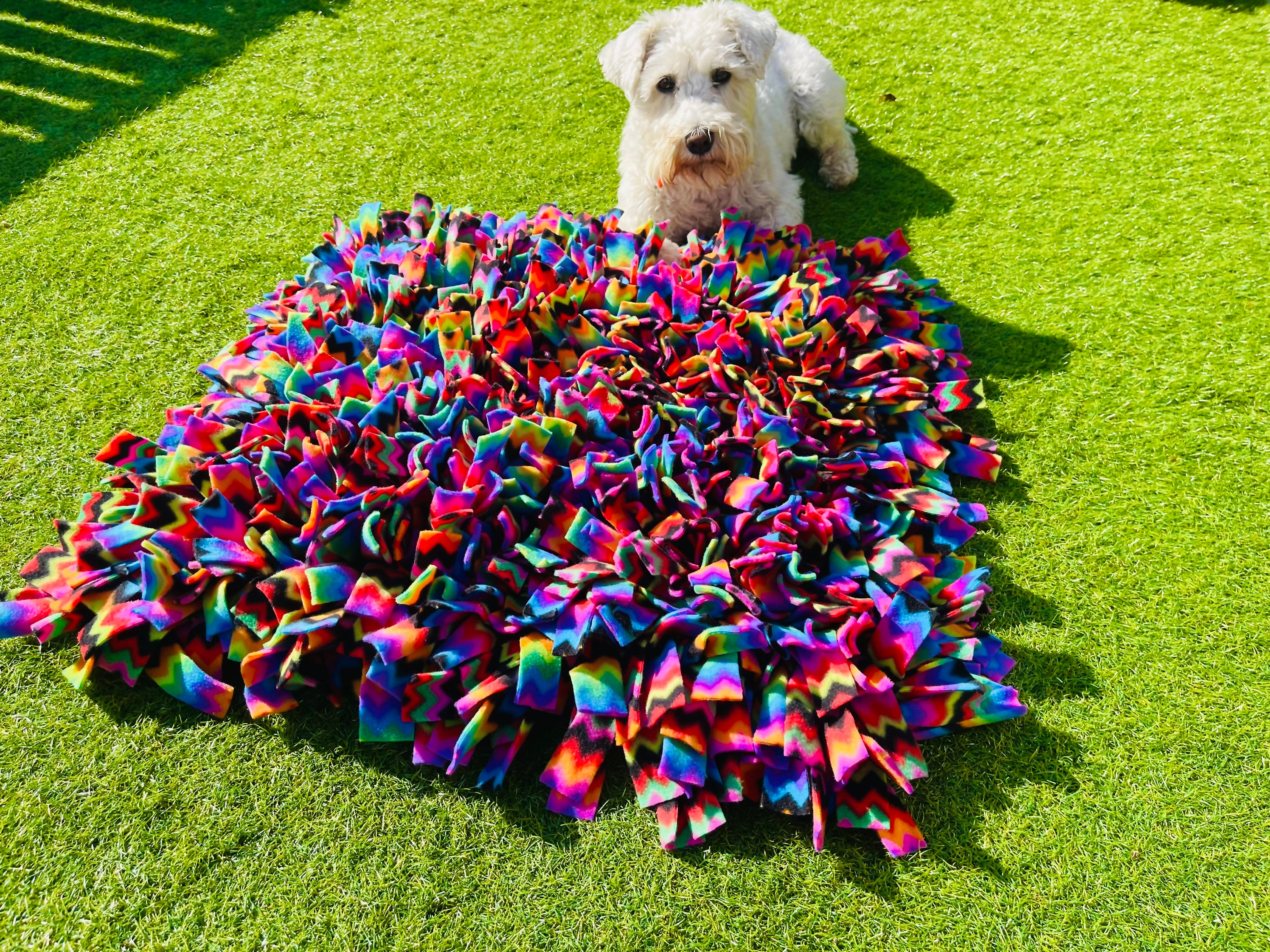 Large Snuffle Mat Canine Enrichment Feeder - Clean Run