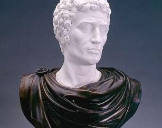 Classical sculpture "Bust of Brutus" made of alabaster powder, marble base, cm 47 x 64 (18.50 x 25.19 inch) Made in Italy