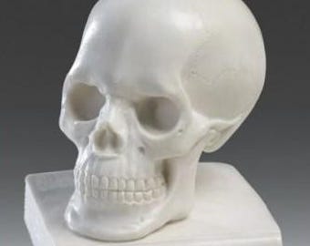 Classical sculpture Skull with book, cm 10 (3.93 inches) made entirely of alabaster powder, handcrafted, made in Italy