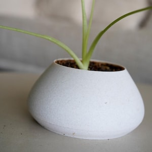 Peut inclure: Un pot de fleurs blanc mat, bas et arrondi, doté d'une base large et d'une ouverture effilée. Le pot contient une petite plante verte aux tiges fines et aux feuilles pointues, avec de la terre brune visible au sommet du récipient.
