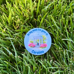 Puede incluir: Una pegatina redonda de color azul claro con el texto "In my mind I'm gone to Carolina". La pegatina presenta una ilustraci&oacute;n de un mirador con flores rosas y la palabra "Carolina" debajo. La pegatina est&aacute; sobre hierba verde.