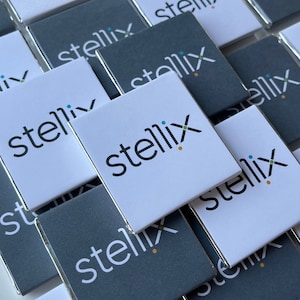 Custom Individually Wrapped Chocolates Business Logo Favors for Promotions Handouts Personalized Chocolate Gifts Corporate Events Branded