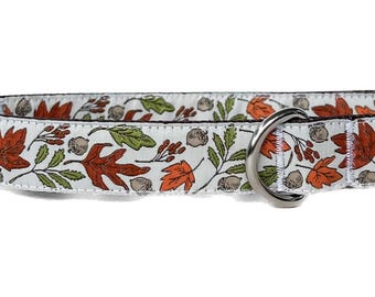 Fall Leaves Jacquard Ribbon Dog Collar - Adjustable Autumn Design