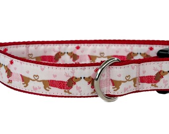 Dachshund Valentine's Day Dog Collar: Pink & Red Adjustable Collar