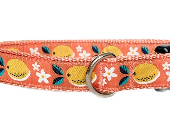 Lemon Blossom Dog Collar: Citrus Floral, Adjustable Collar