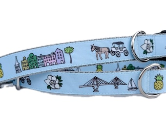Charleston Original Dog Collar, Rainbow Row, Adjustable