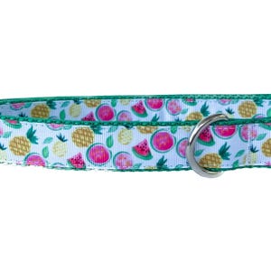 May include: A white dog collar with a green border and a pattern of pink watermelon slices and yellow pineapples. A silver metal D-ring is attached to the collar.