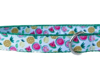 Summer Fruit Dog Collar: Pineapple, Watermelon, & Pomegranate Adjustable Collar