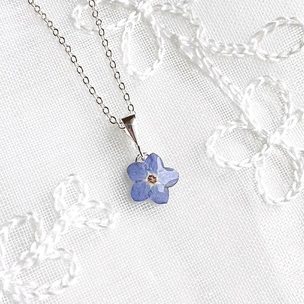Collier Myosotis, vraie fleur pressée, petit pendentif, collier fait main de fleurs pressées bleues, argent sterling, plaqué or, cadeau pour elle