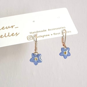 Real Forget Me Not Dangle Earrings, Handmade Tiny Real Pressed Flower Earrings, Sterling Silver, Gold Plated, Jewellery Lover, Gift for her image 2