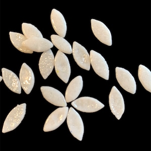 Puede incluir: Sprinkles blancos iridiscentes en forma de hoja para hornear y decorar. Los sprinkles están esparcidos sobre un fondo negro.