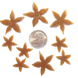 COE 96 fused glass starfish, amber 5/8 inch and 7/8 inch mix  pack of 9