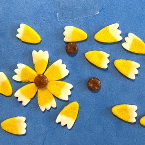 COE 96 fused glass flower, yellow petals with white tips, tidy tips,  1/2 inch  - pack of 18 petals and 3 amber circles