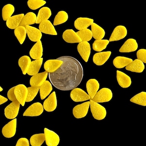 Könnte beinhalten: Eine Streuung von gelben Glitzer-Blütenblättern und Tropfenformen auf schwarzem Hintergrund. Eine 10-Cent-Münze ist zur Größenbestimmung enthalten.