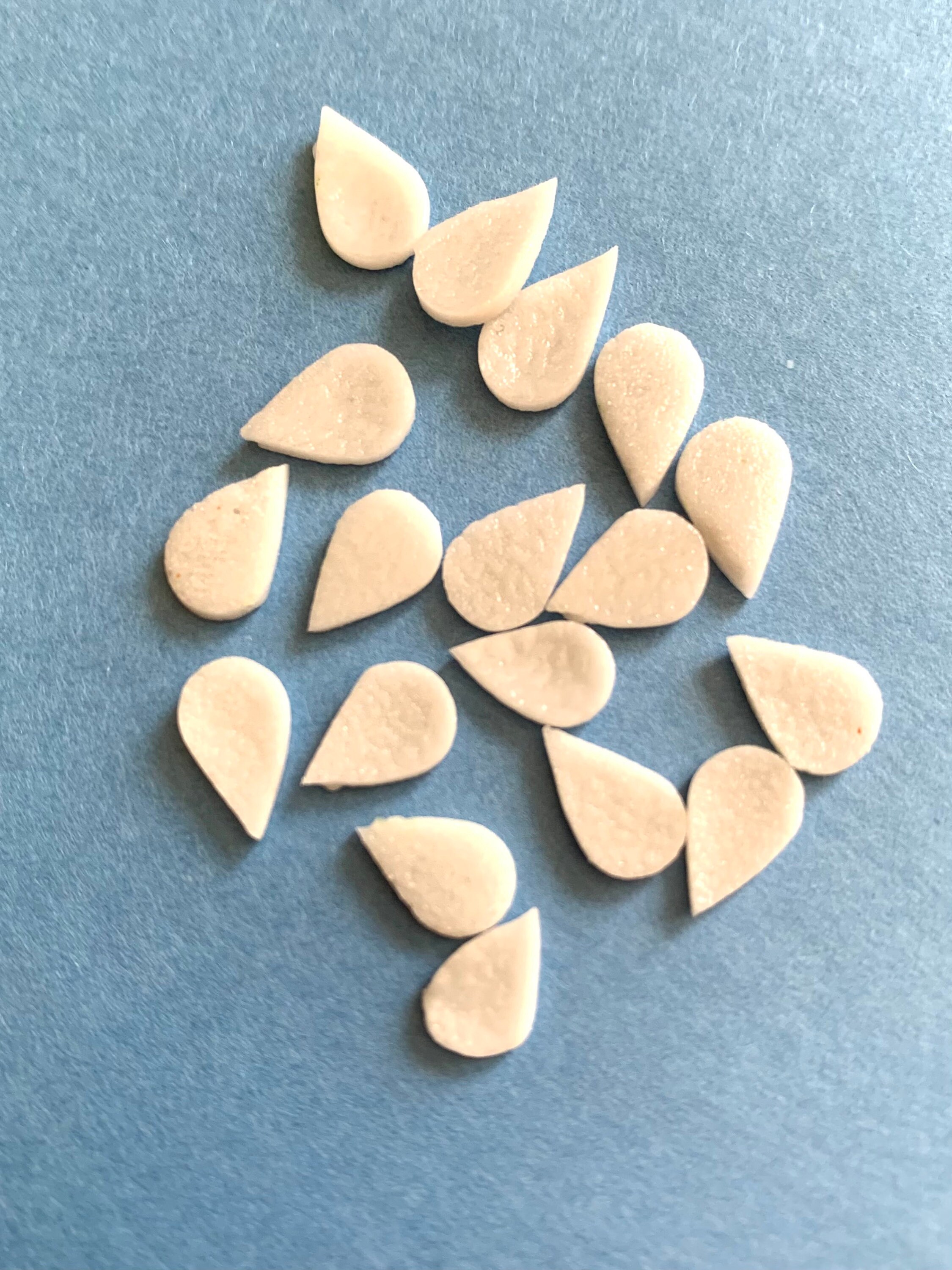 COE 96 fused glass flower petals 3/8 inch white pack of 18 Etsy