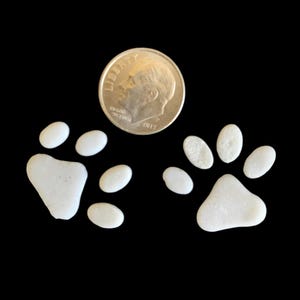 May include: Two white paw prints made of small white stones, each print is about the size of a US dime.