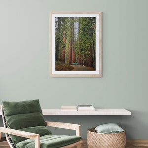 Sequoiatrees Poster Printable National Parks Wall Art - Etsy