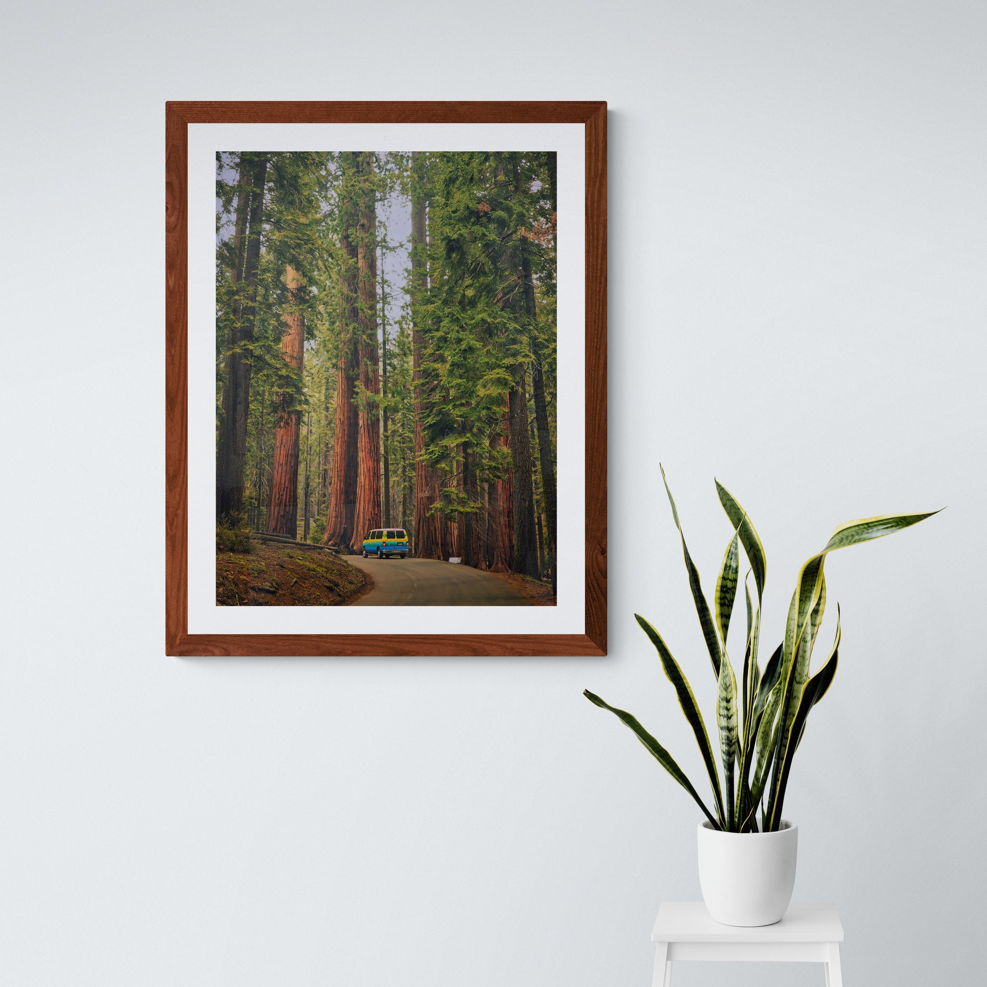 Huge Forest Photo National Parks Wall Art Digital Download Etsy