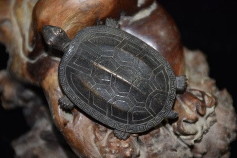 Early collection of bronze carved longevity tortoise lock can be used normally decorations, gifts