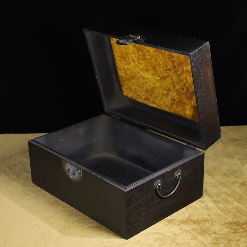 Golden Nanmu Plant For Sale