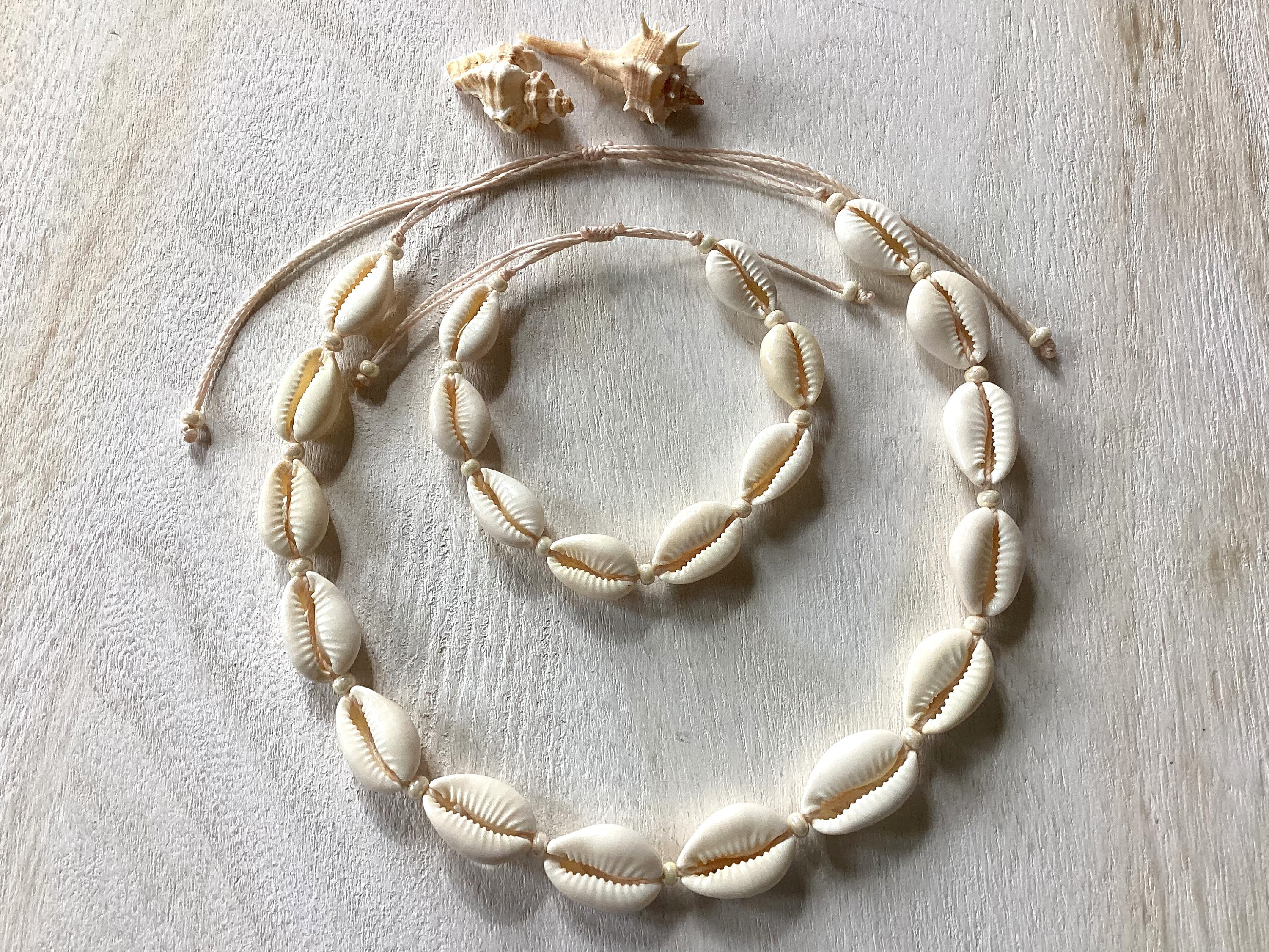 Cute seashell hotsell necklace