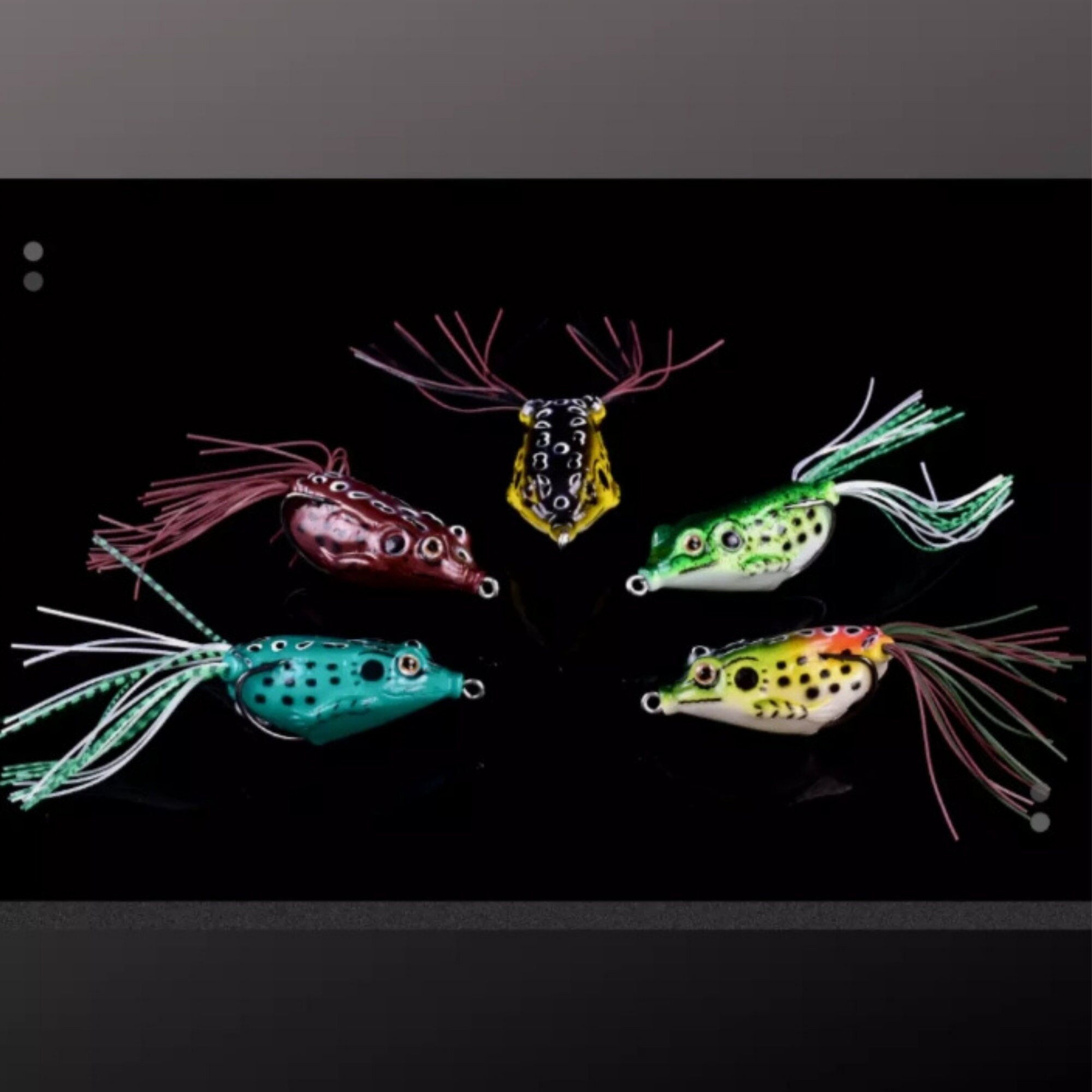 5x High Quality Fishing Lures Frog Topwater Crankbait BOX Bass Bait Tackle  NEW Snakehead & Bass Lure NEW Best Fishing Lure -  Canada