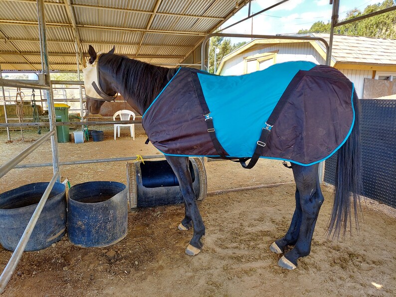 Custom Horse Blankets Etsy