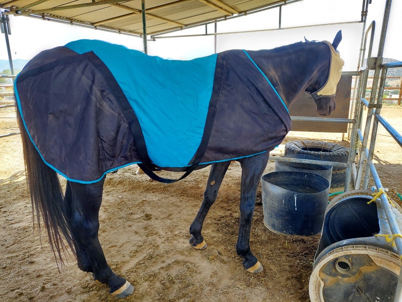 Custom Horse Blankets Etsy