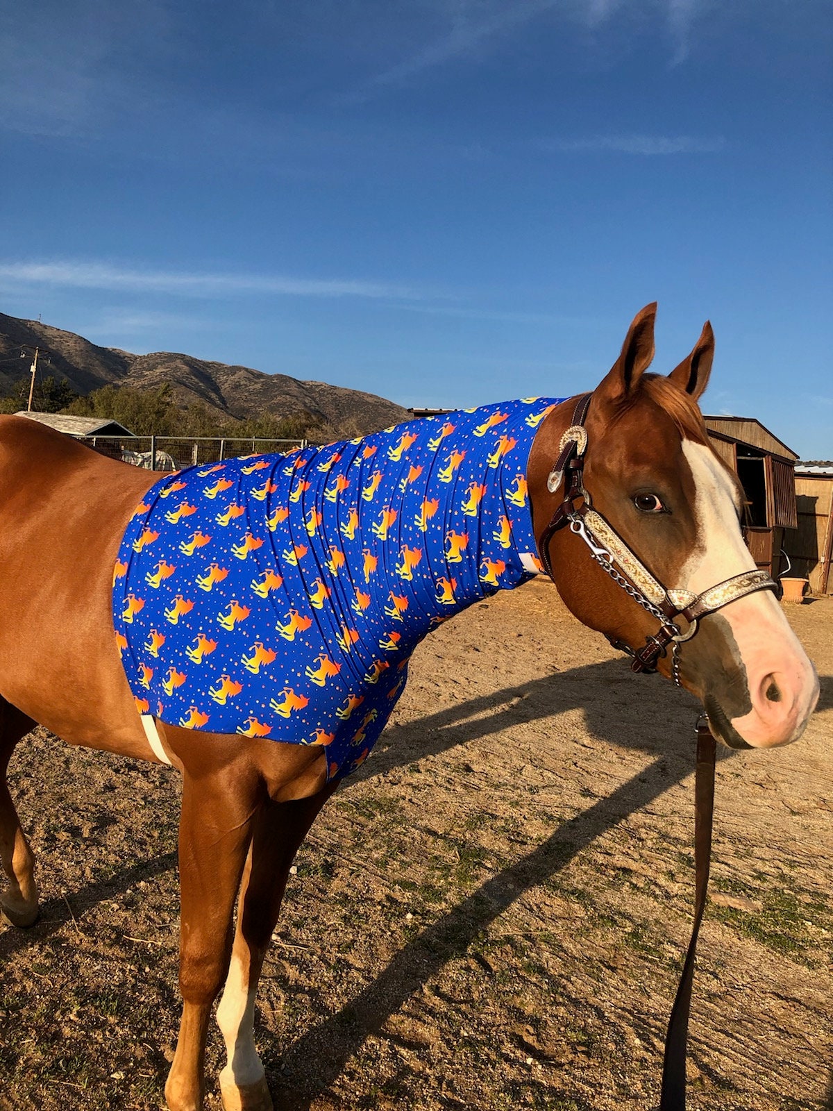 louis vuitton horse blanket