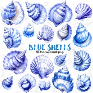 Clipart de concha azul, conchas marinas de acuarela, tinta náutica, PNG digital, decoración de playa para álbumes de recortes y pegatinas de planificador, PNG transparente