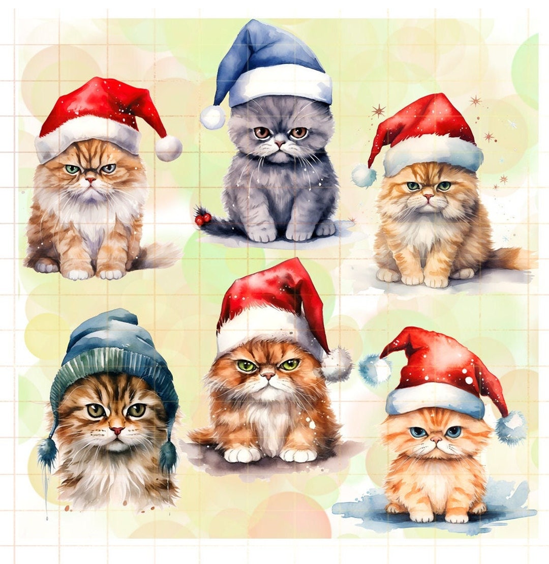 Watercolor Santa Cat Clipart: Grumpy Christmas Kitten PNG (commercial ...