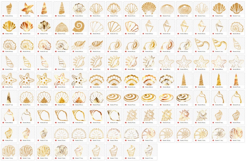 Gold Shell Clipart Bundle, Transparent Golden Sea Shells Sublimation ...