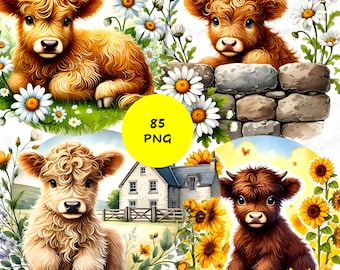 85 Baby Highland Cow Clipart: Farm Animal PNG Images (Commercial Use)